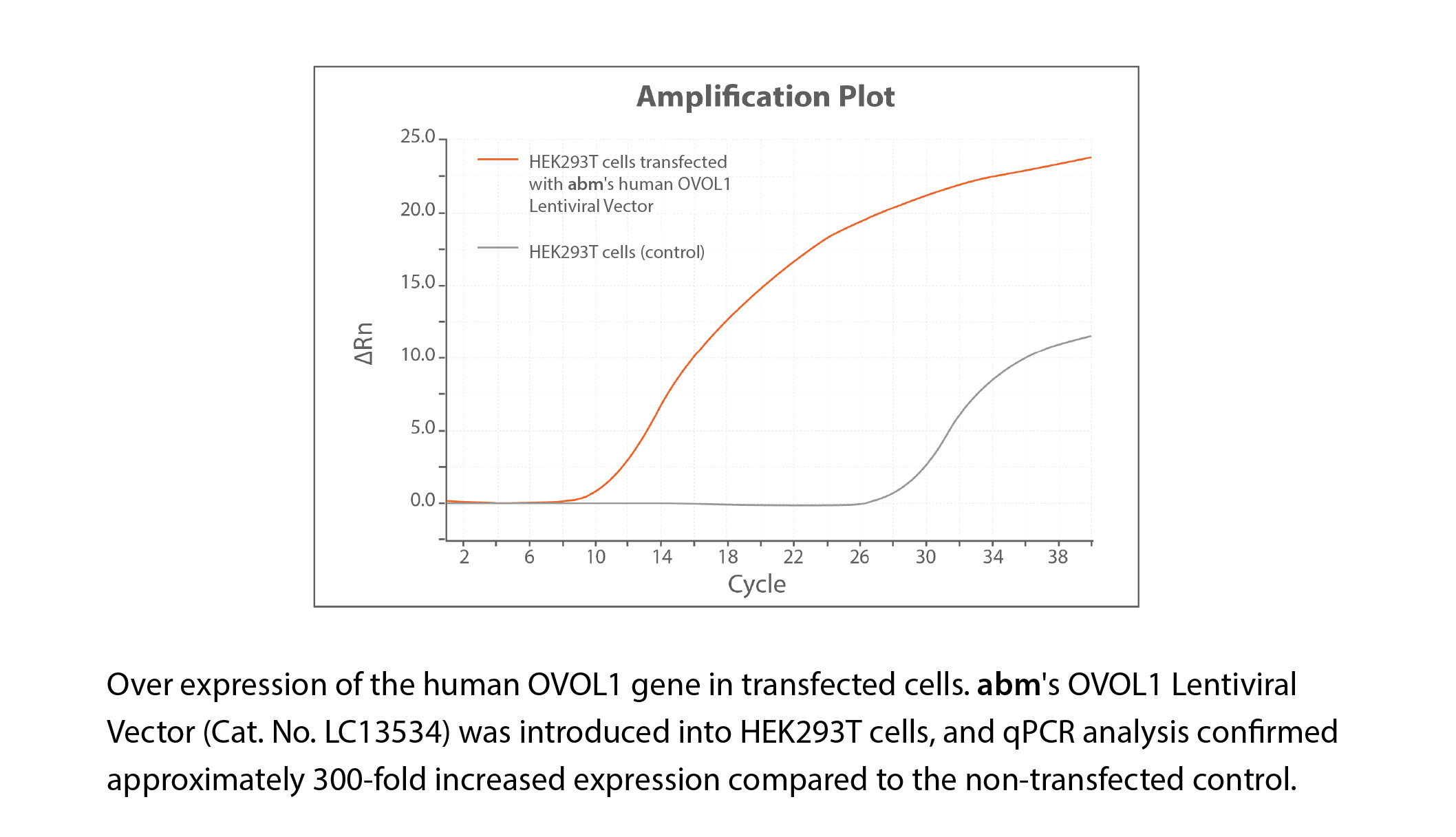 Lentiviral Vectors and Lentivirus overexpression image 2025